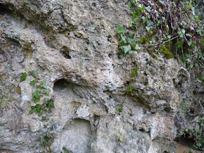 P1010565lr.jpg